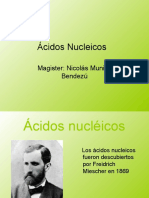 ACIDOS NUCLEICOS_2