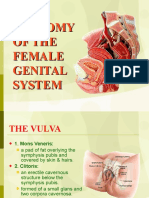 01 Anatomy of Female Genital System Dr.osman