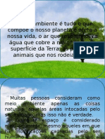 O Que É Meio Ambiente