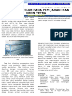 Leaflet 18 - Penetasan Telur Ikan Neon Tetra