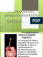 Fsiología Del Apto.digestivo