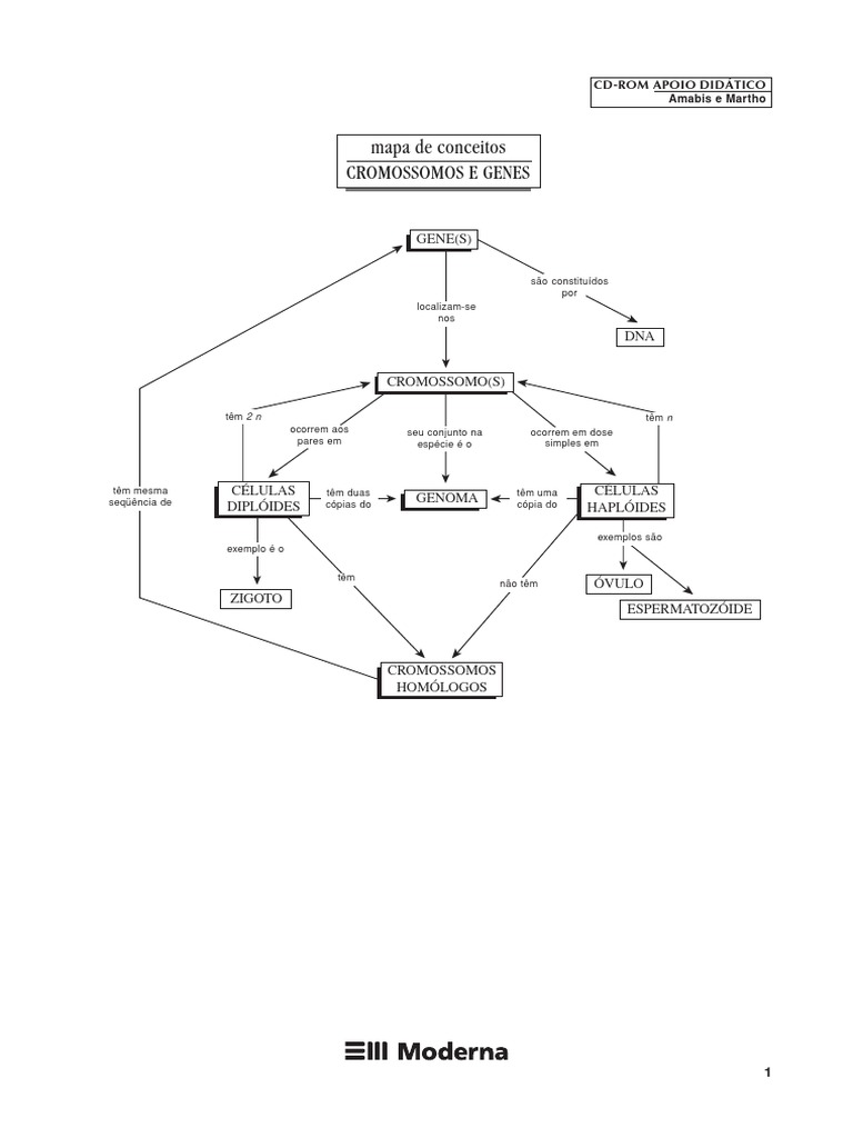 La pionera técnica de diagnóstico del Niño Jesús permite detectar  hemopatías malignas de forma más precoz y precisa - Gaceta Médica, image size:768x1024