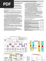 Fiche1-theme1-A-1-brassage-genetique.pdf