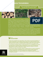 Brief_forestales(es_web).pdf