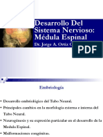 1-clase-embrio-sn-me1.pdf