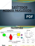 Nucleotidos y Nucleoprotreinas