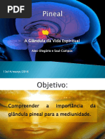 Aula Pineal