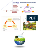desarrollo sostenible