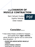 Mechanism of Contraction