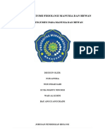 Makalah Anatomi Fisiologi Manusia Dan Hewan Sistem Integumen