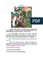 139896268-FUNGOS-MICOLOGIA-BASICA.pdf