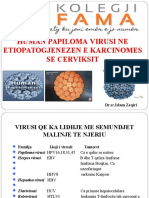 Human Papilomavirusi HPV