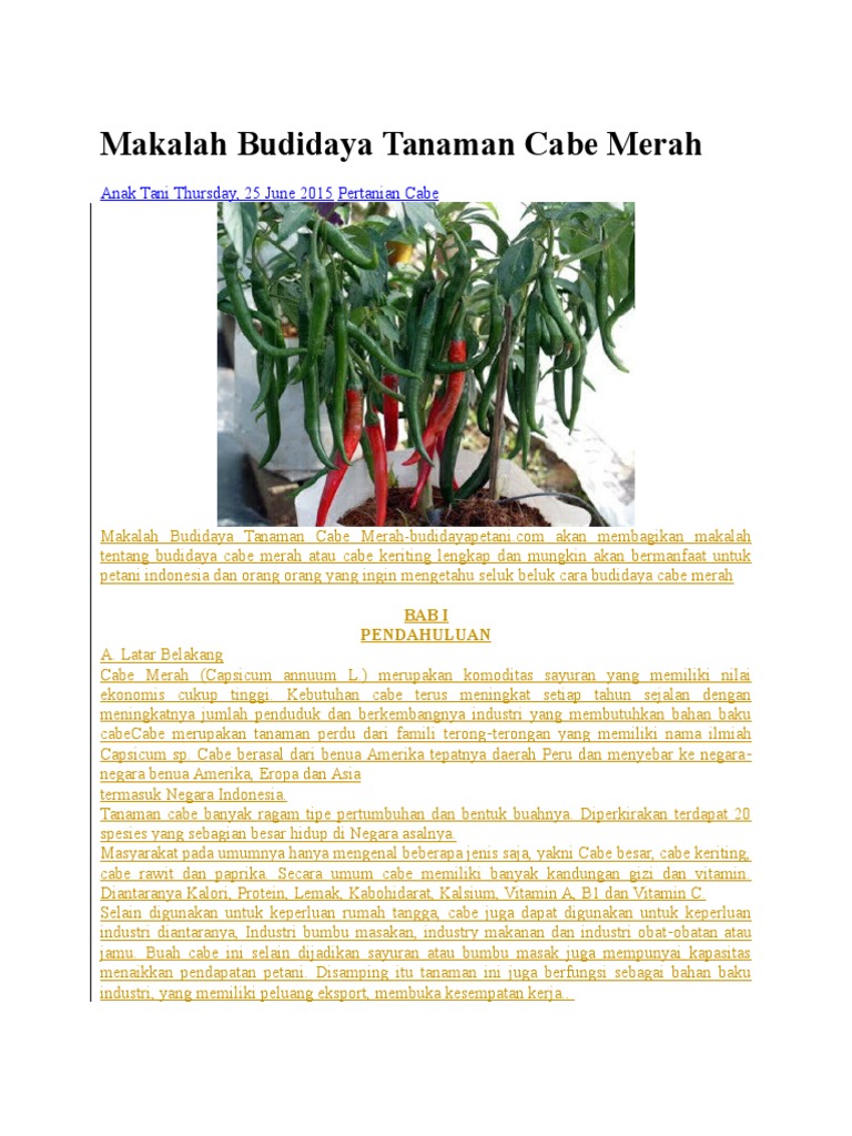 Makalah Budidaya Tanaman Cabe Merah