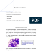 Criterios Generales de Malignidad Del Nucleo y Citoplasma