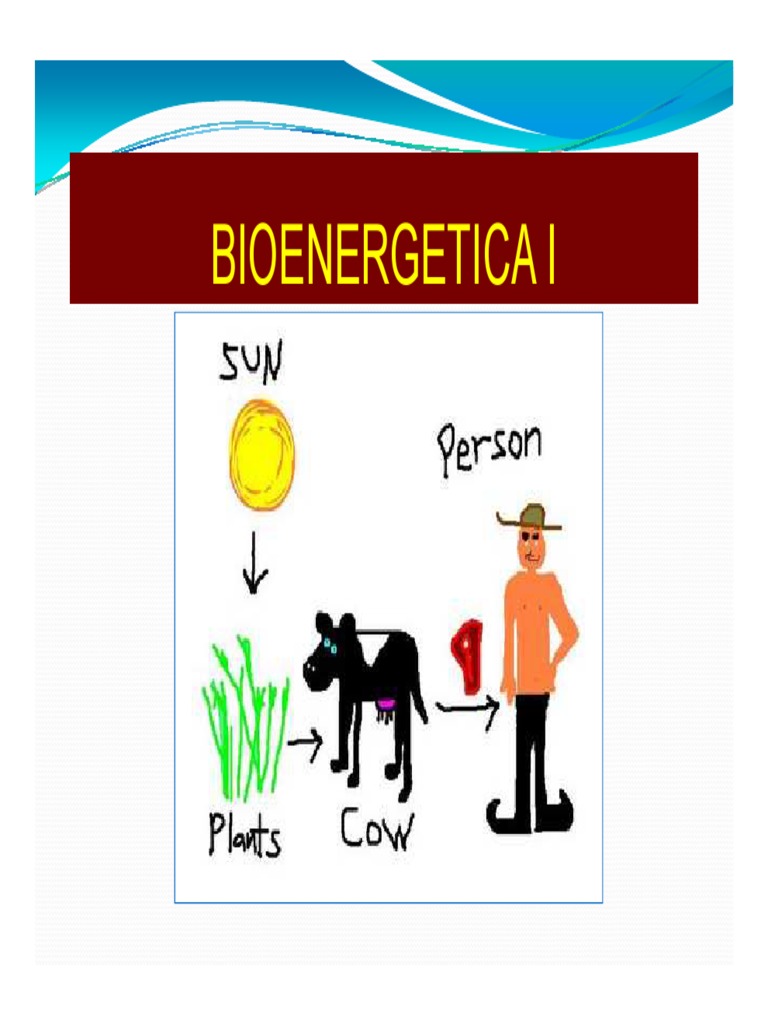 Bioenergetica 1 Equilibrio químico Plantas