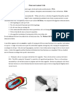 3 Notes Cells PDF