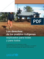 derechos_indigenas.pdf