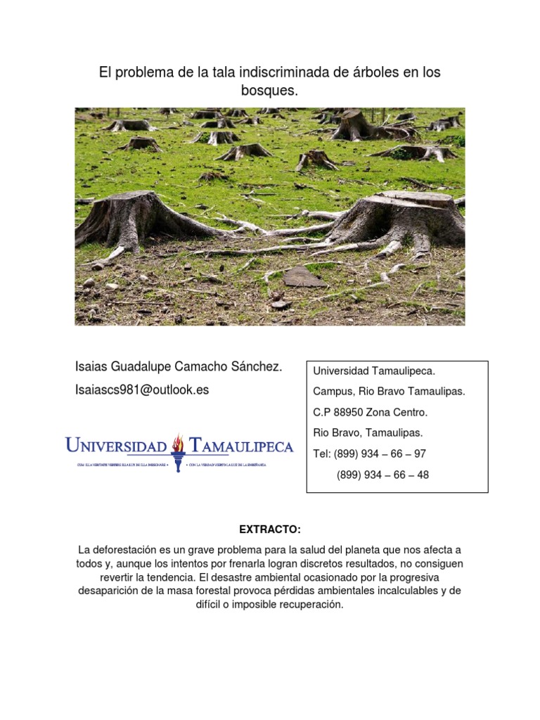 Problemas de la tala indiscriminada | PDF | Deforestación | Los bosques