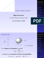Presentacion_Capa_Limite.pdf
