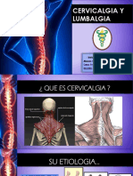 EJERCICIOSTII -CERVLUMB. (1).pptx