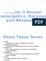 Chapter 3 Review: Thermodynamics, Enzymes and Metabolism