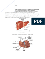 ANATOMI DAN FUNGSI HEPAR.docx