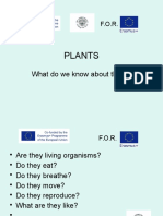 Plants: What Do We Know About Them?