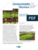 Tipos de Alface PDF