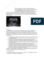 Objetivos: Electro Médico Ecografías Ultrasonidos Ondas Corazón Riñones Hígado Feto Embarazo