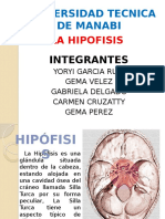 Exposicion Hipofisis