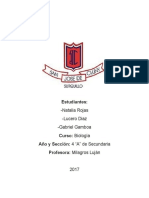 Química Trabajo