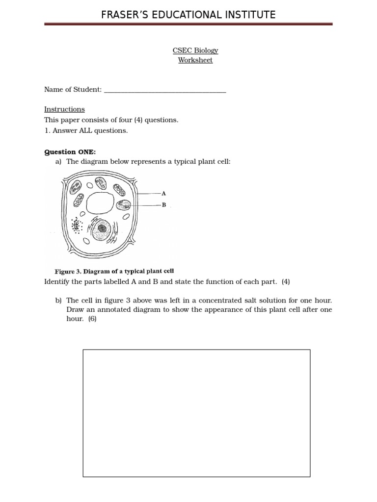CSEC Biology WORKSHEET | PDF | Photosynthesis | Habitat