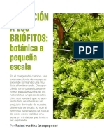 Medina 2014 Invitacion A Los Briofitos PDF