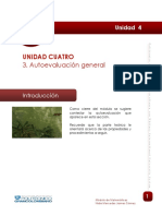 Autoevaluacion PDF