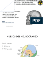 Exposicion Anato 1 Neurocraneo