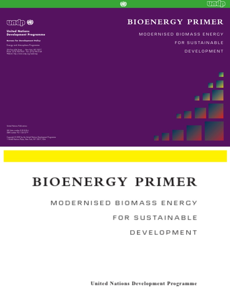 Bioenergy Primer: Modernised Biomass Energy For Sustainable Development ...
