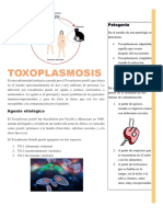 Toxoplasmosis