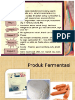 Pertemuan X (Fermentasi)