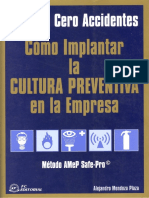 Como Implantar La Cultura Preventiva en La Empresa - Mendoza Plaza