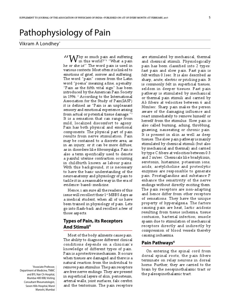 Understanding Pain: Types and Pathways | PDF | Pain | Thalamus