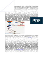 metaboisme lipid.docx