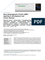 Bone Morphogenetic Protein (BMP) Signaling in Development and Human Diseases