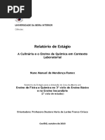 Relatório de Estágio de Nuno Ramos 2013 (Aluno M4770)