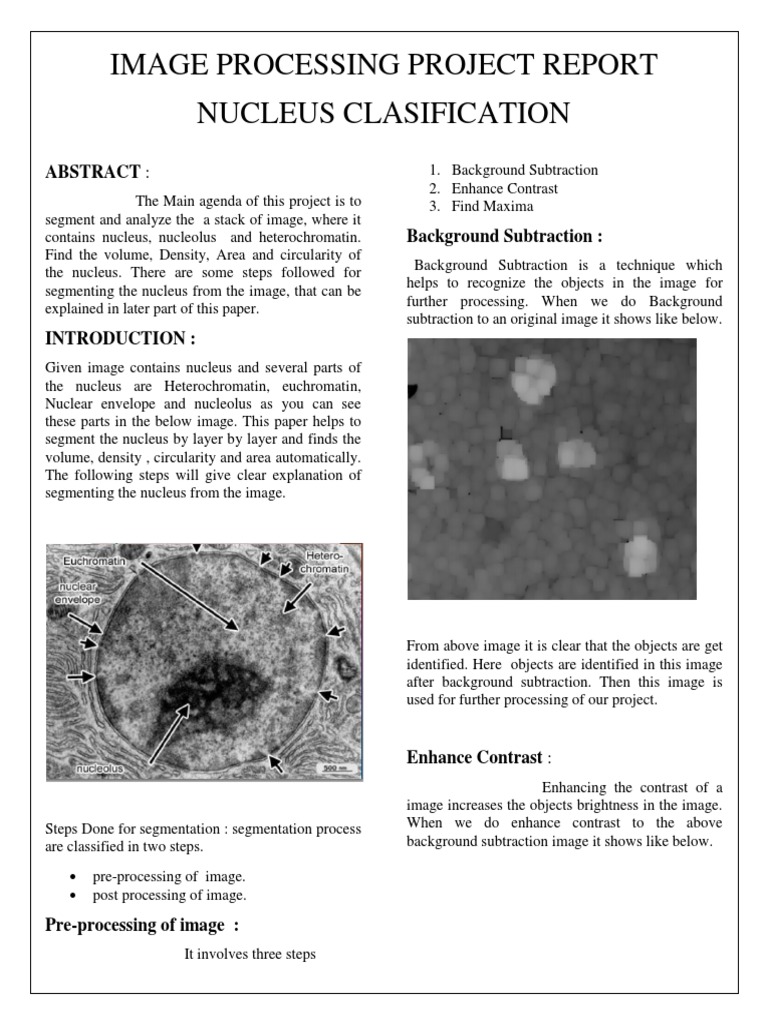 Image Processing Project Report New | PDF | Image Segmentation | Algorithms