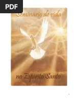 Seminario de Vida No Espirito Santo