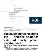 Molecular Signaling Along the Anterior-posterior Axis of Early Palate Development