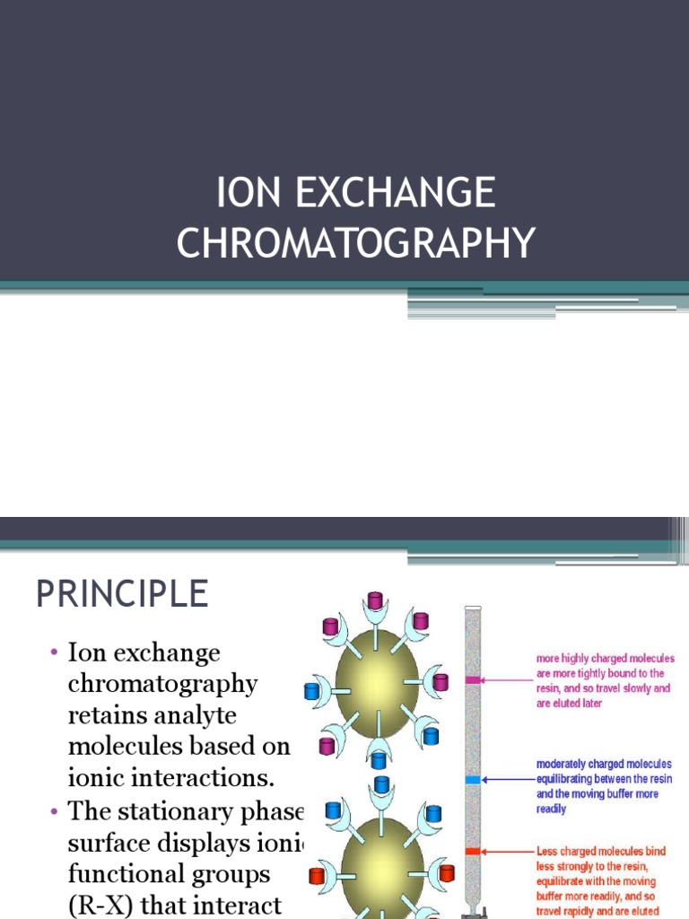 Ion Exchange Chromatography Explained | PDF
