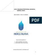 Kode Etik Psikologi Organisasi Profesional Indonesia, Amerika, Eropa