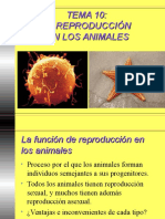 10 Reproduccion Animales