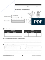 Repaso Lengua 3 Primaria Ver Con Atencion